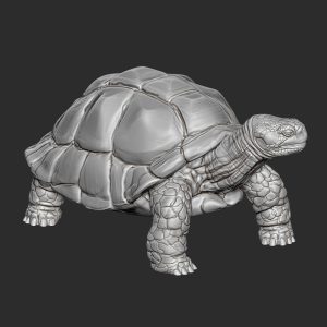 图片[1]-JG0239象龟陆龟动物乌龟写实3D模型STL文件三维图立体图建模精雕图雕刻机玉雕图木雕图圆雕图3D打印模型数据-3D素材资源仓
