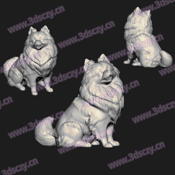 000718可爱博美犬动物圆雕图STL文件三维图立体图建模精雕图雕刻机玉雕图木雕图3D打印模型数据-3D素材资源仓
