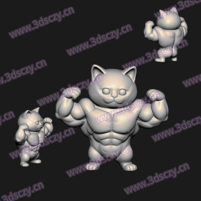 001075健身肌肉小猫摆件圆雕图STL文件三维图立体图建模精雕图雕刻机玉雕图木雕图3D打印模型数据-3D素材资源仓